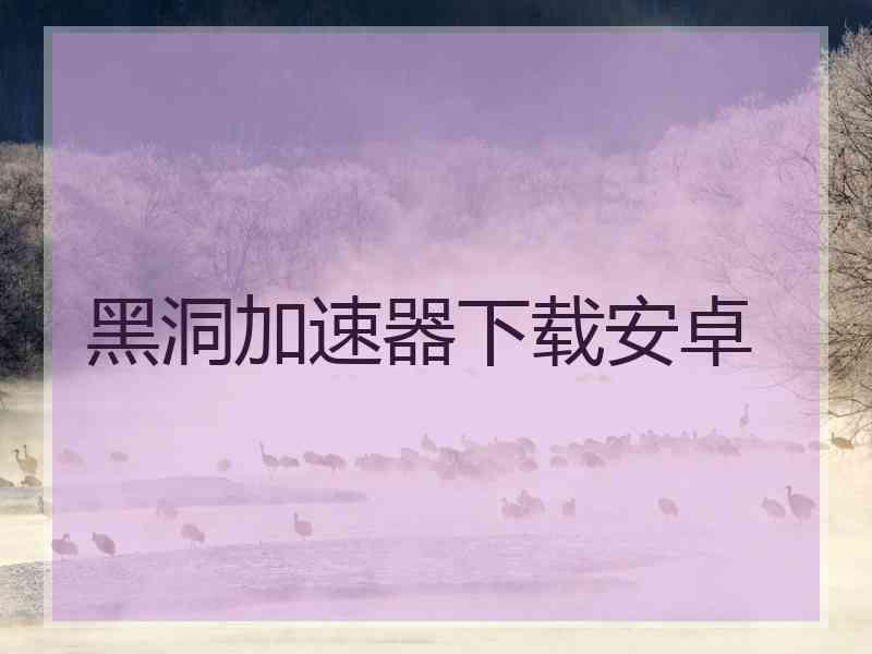 黑洞加速器下载安卓