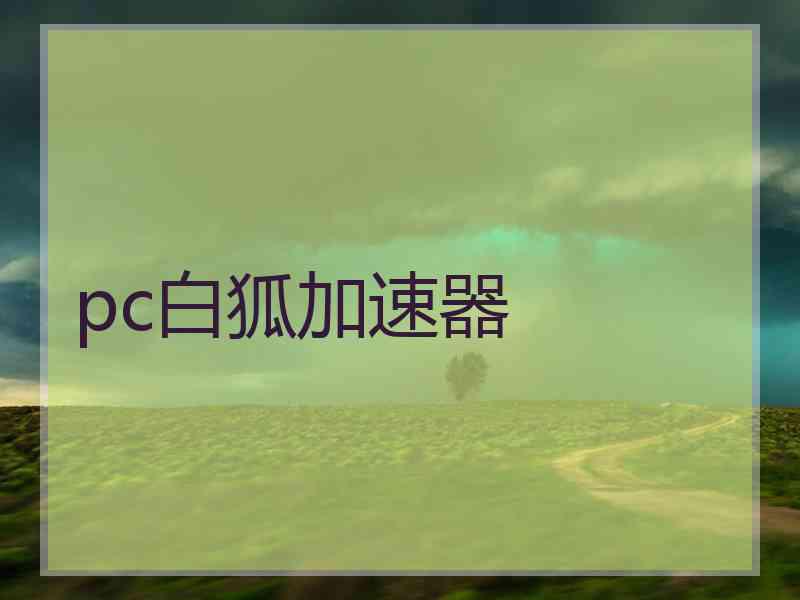 pc白狐加速器